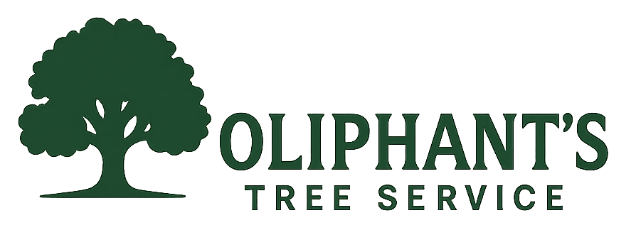 oliphantstreeservice
